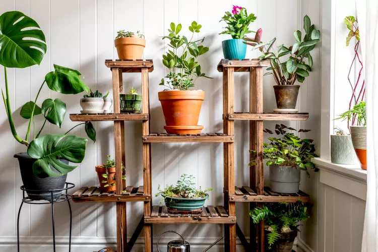 Indoor gardening